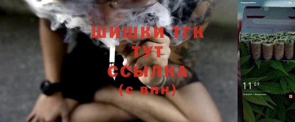 трава Осинники