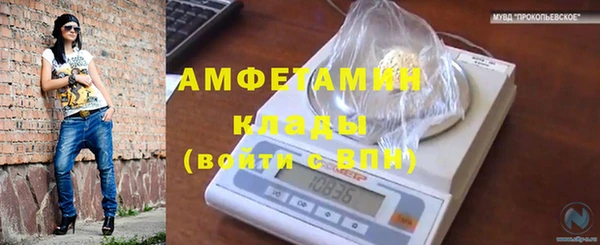 Альфа ПВП Аркадак